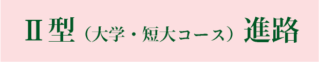 Ⅱ型