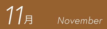 11月