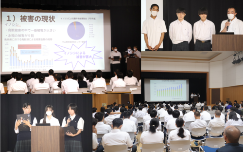 資源獲得プレゼン