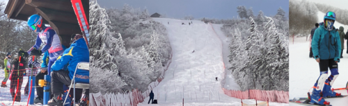 第７５回全国高等学校スキー大会